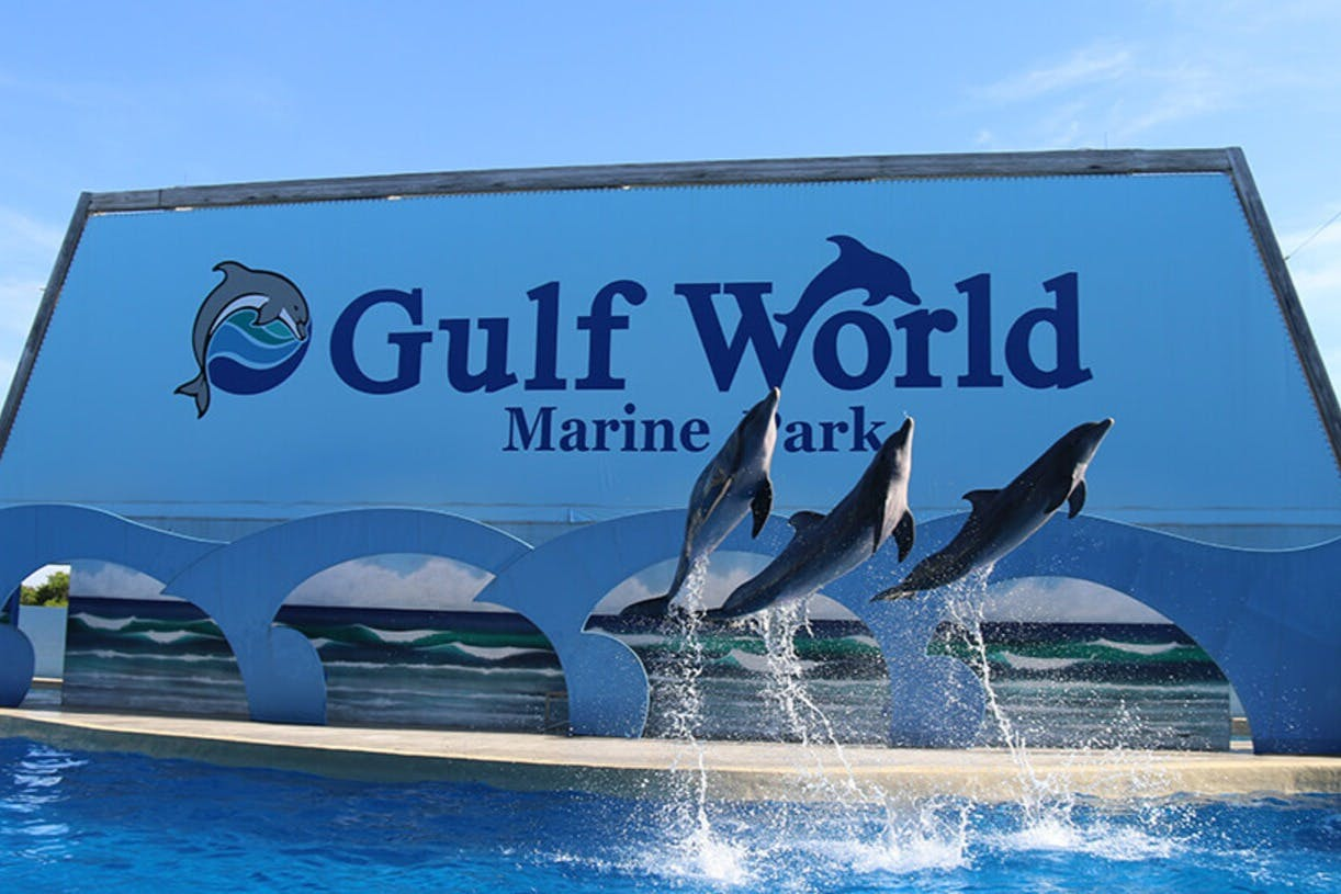 Gulf World Marine Park: Entry Ticket - Photo 1 of 8